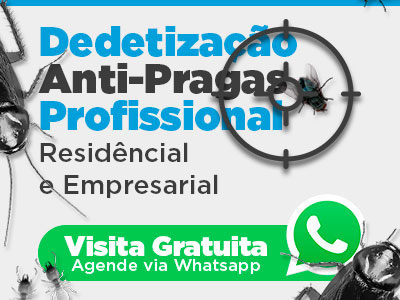 Controle de Pragas Formigas em Rio Preto